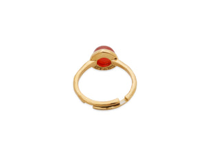 
                  
                    IG Red Ring
                  
                