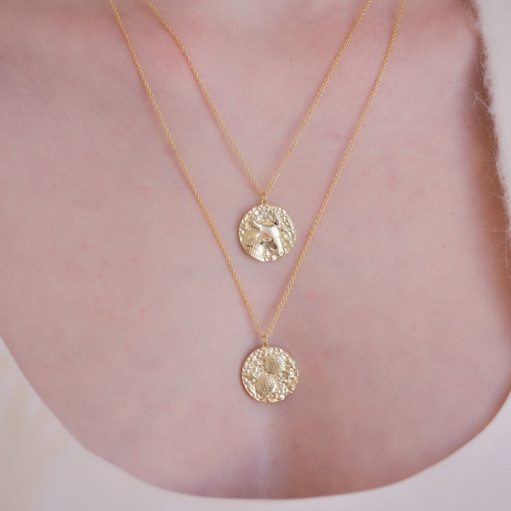 
                  
                    Pisces Zodiac Double Sided Coin Pendant Gold and Crystal Necklace
                  
                