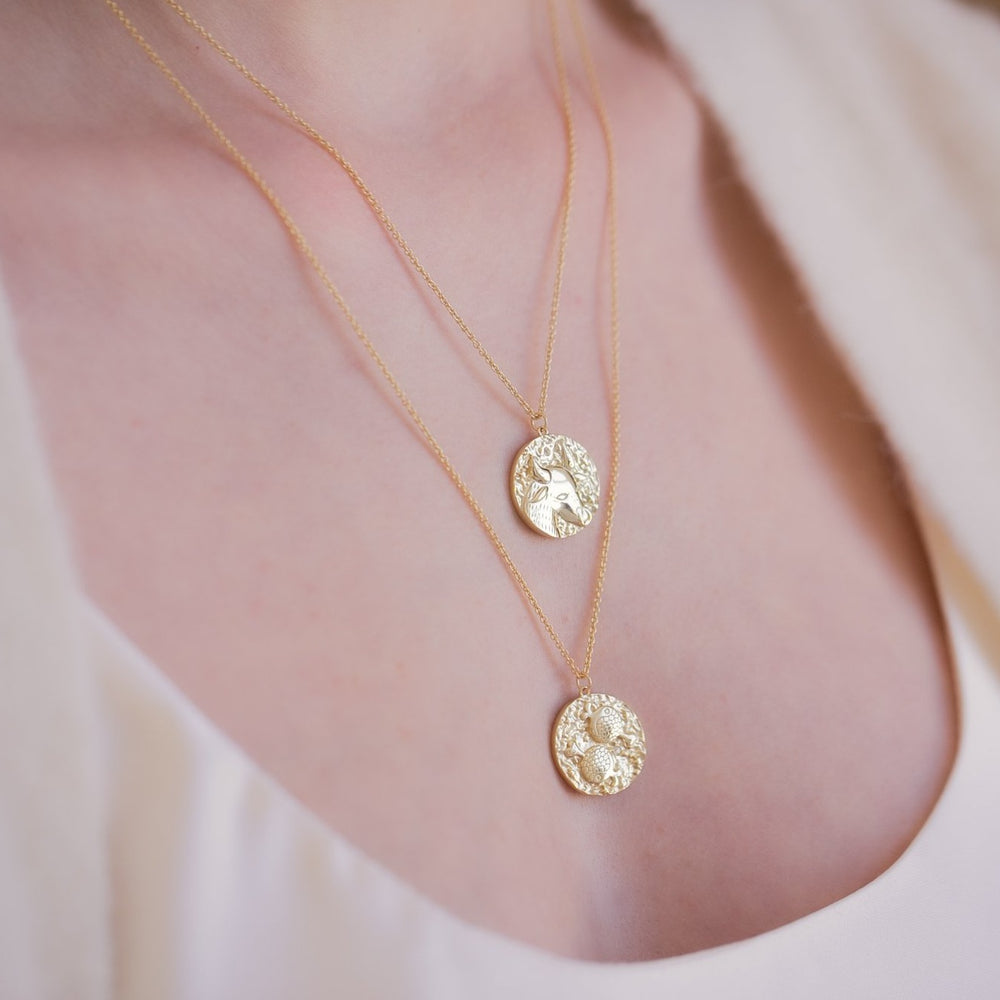 
                  
                    Pisces Zodiac Double Sided Coin Pendant Gold and Crystal Necklace
                  
                