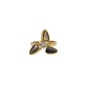 
                  
                    Windmill Rotatable Black Natural Fritillary Gold Ring
                  
                