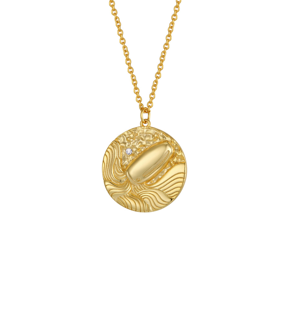 Aquarius Zodiac Double Sided Coin Pendant Gold and Crystal Necklace