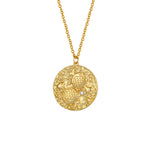 Pisces Zodiac Double Sided Coin Pendant Gold and Crystal Necklace