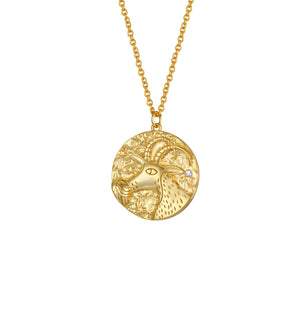 
                  
                    Capricorn Zodiac Double Sided Coin Pendant Gold and Crystal Necklace
                  
                